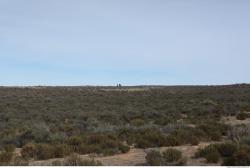 Photo Textures of Background Nature Africa